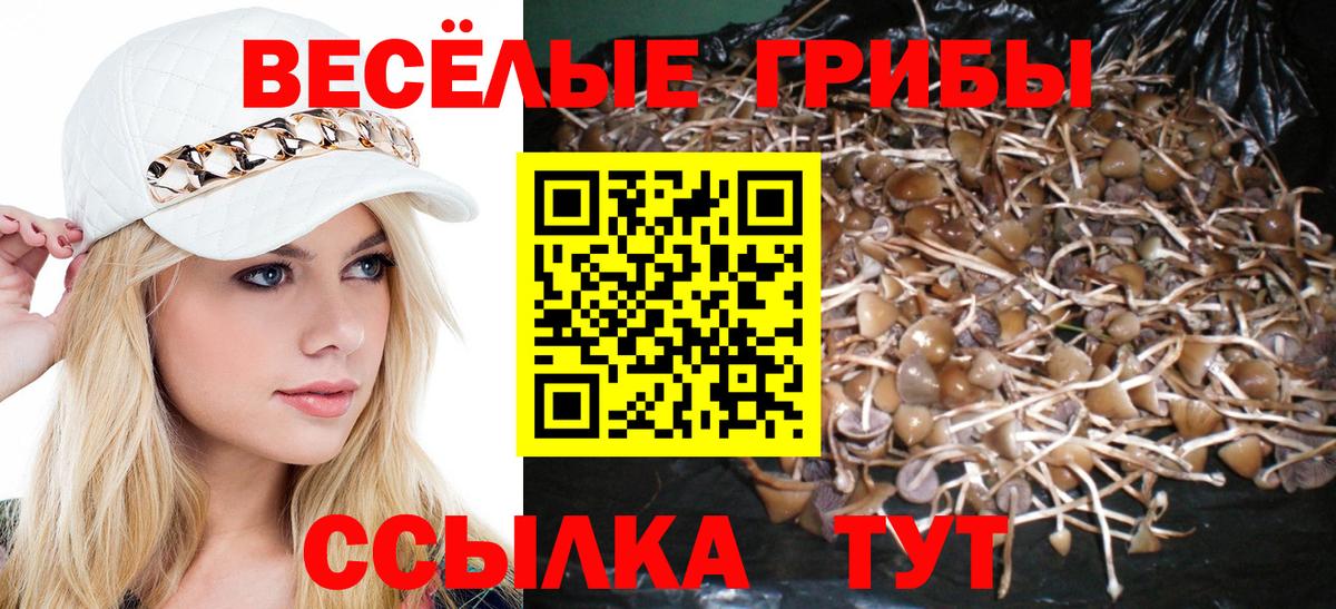 Псилоцибиновые грибы MAGIC MUSHROOMS  Вход с VPN  Кировск  Псилоцибиновые грибы прущие грибы 